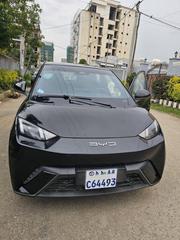 BYD Seagull 2024 Black for sale