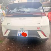 BYD Seagull 2025 White for sale