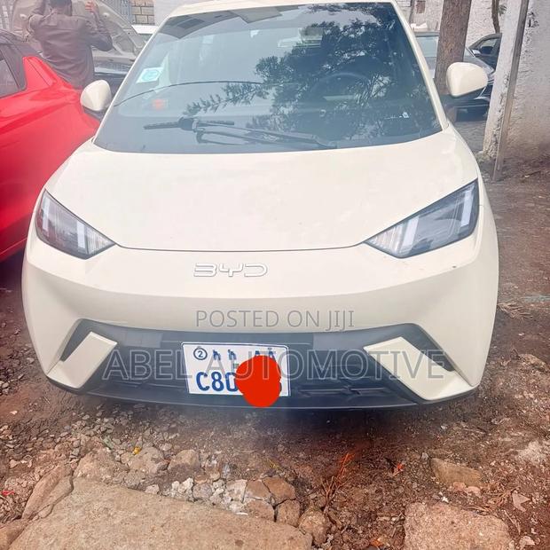 BYD Seagull 2025 White