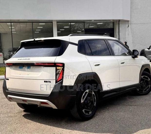 Dongfeng Nammi 01 2025 White