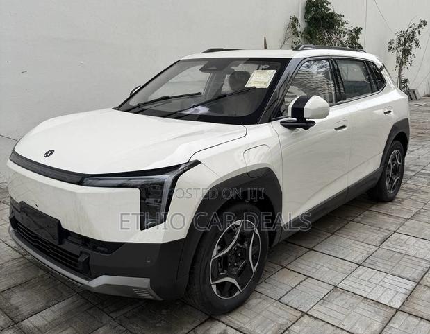 Dongfeng Nammi 01 2025 White
