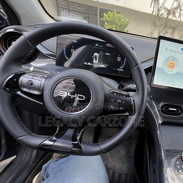 BYD E2 43 kWh 94 hp FWD 2024 Silver