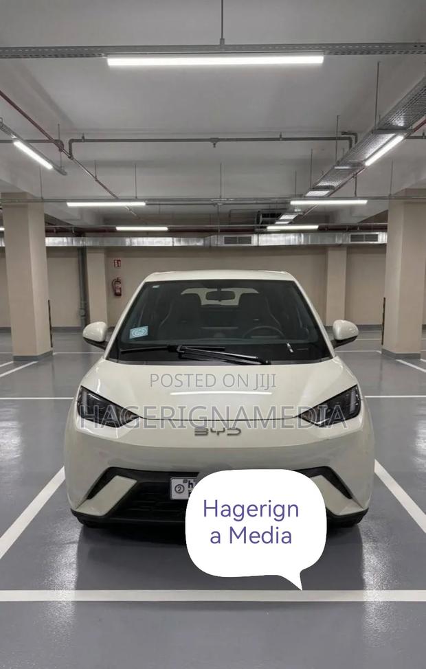 BYD Seagull 2024 White