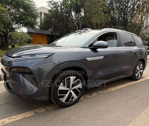BYD Tang EV 2025 Gray