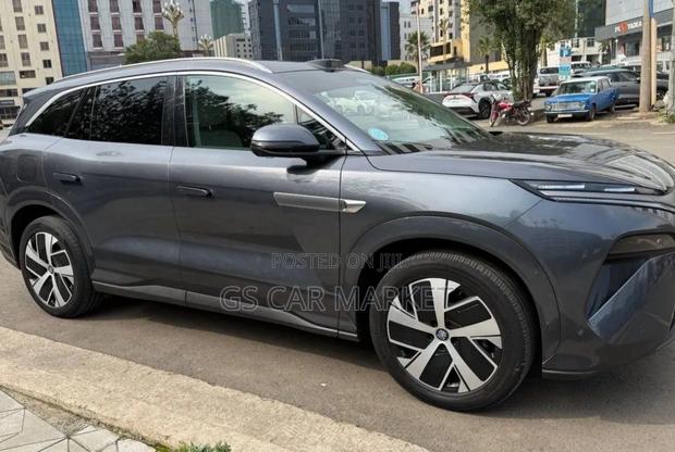 BYD Tang EV 2025 Gray