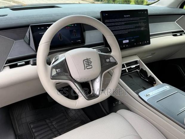 BYD Tang EV 2025 Gray