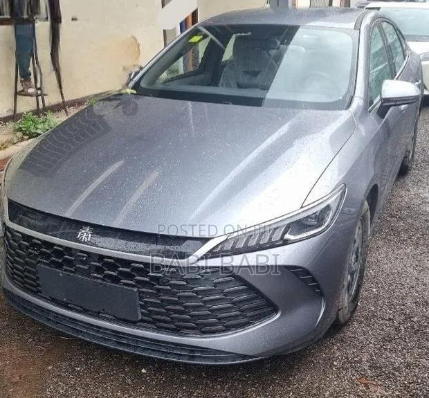 BYD Qin Plus DM-i 2025 Silver