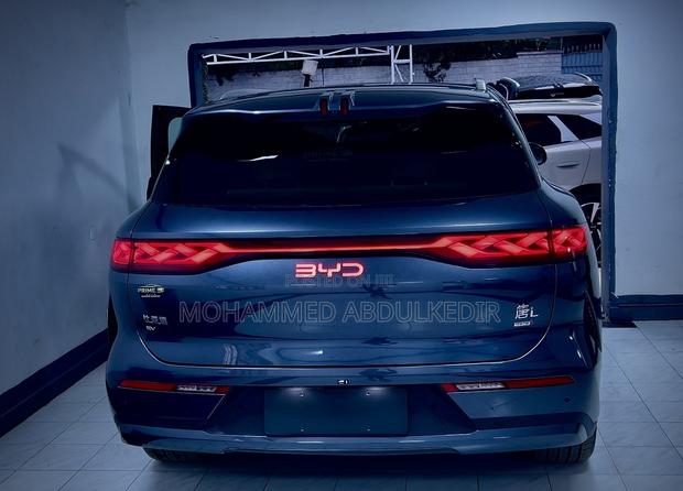 New BYD Tang EV 2025 Gray