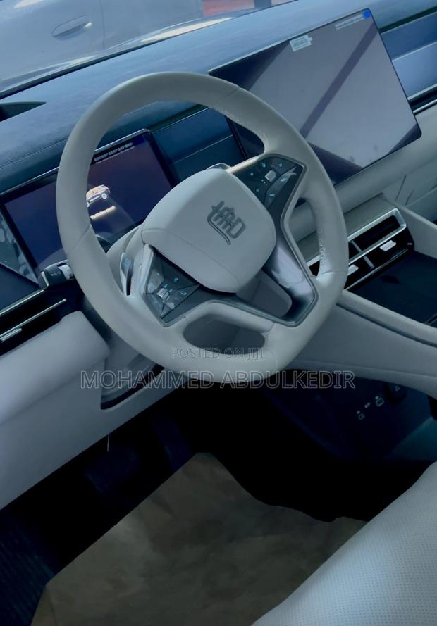 New BYD Tang EV 2025 Gray