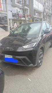 BYD Seagull 2025 Black for sale