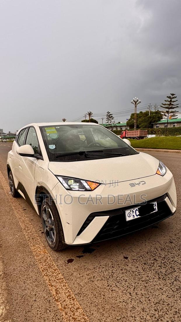 BYD Seagull 2024 White