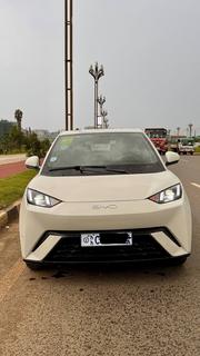 BYD Seagull 2024 White for sale
