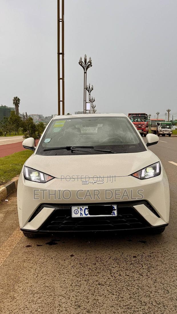 BYD Seagull 2024 White