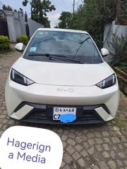 BYD Seagull 2025 White for sale