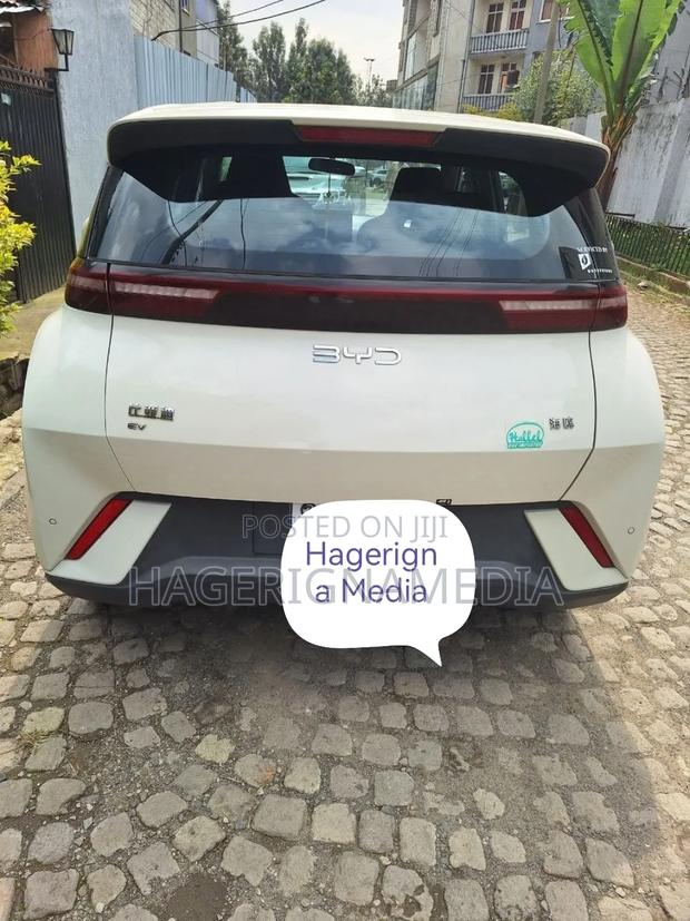 BYD Seagull 2025 White