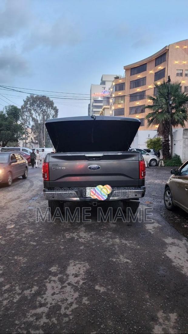 Ford F-150 2015 Gray