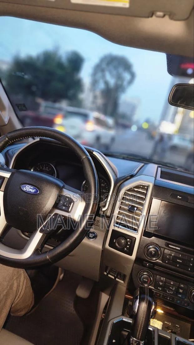 Ford F-150 2015 Gray