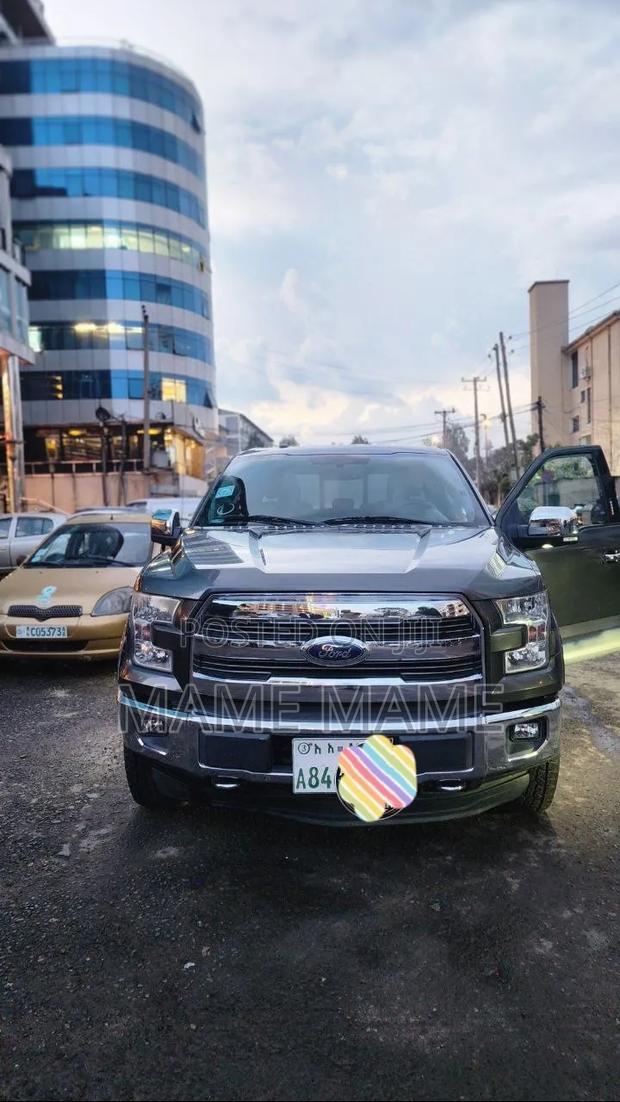 Ford F-150 2015 Gray