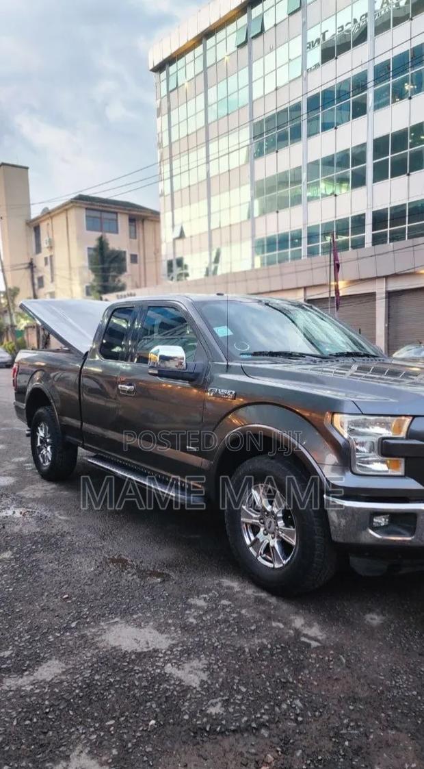 Ford F-150 2015 Gray