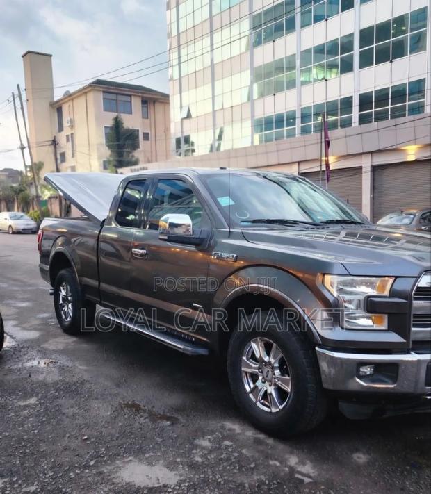 Ford F-150 2015 Gray