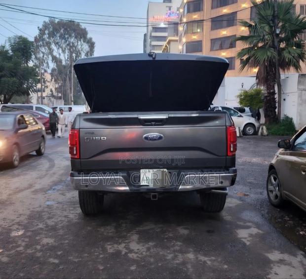 Ford F-150 2015 Gray