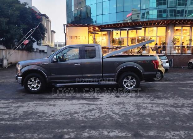 Ford F-150 2015 Gray