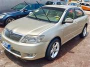 Toyota Corolla 2007 Gold for sale