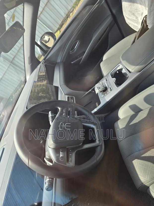New BYD Song L DM-i 2025 Gray