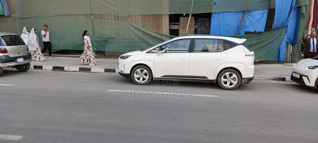 Car 2024 White