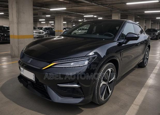 BYD Song L DM-i 2025 Black