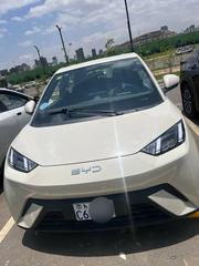 BYD Seagull 2024 White for sale
