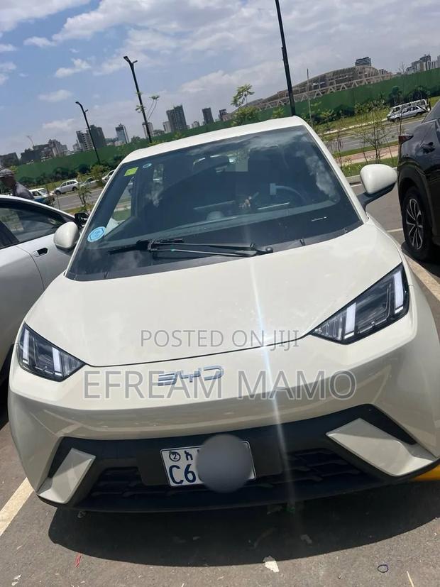 BYD Seagull 2024 White