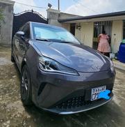 Hozon Neta Aya 2024 Gray for sale