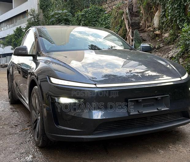New Tesla Model Y 2025 Gray
