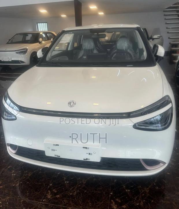 New Dongfeng Nammi 01 2025 White