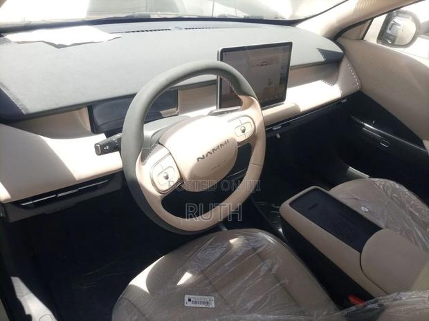 New Dongfeng Nammi 01 2025 White