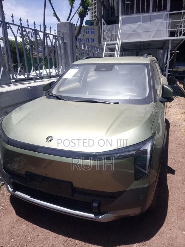 New Dongfeng Nammi 01 2025 White