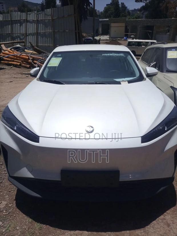 New Dongfeng Nammi 01 2025 White