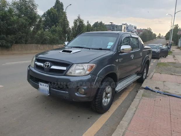 Toyota Hilux 2010 Gray