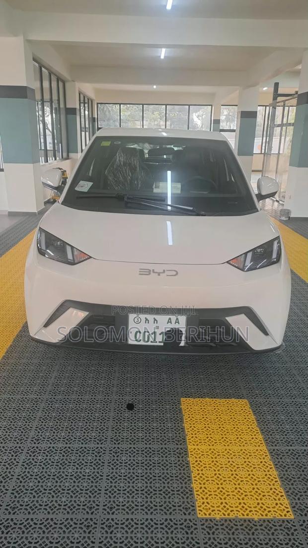 BYD Seagull 2025 White