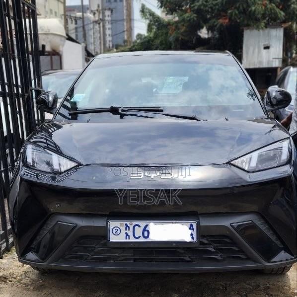 BYD Seagull 2024 Black