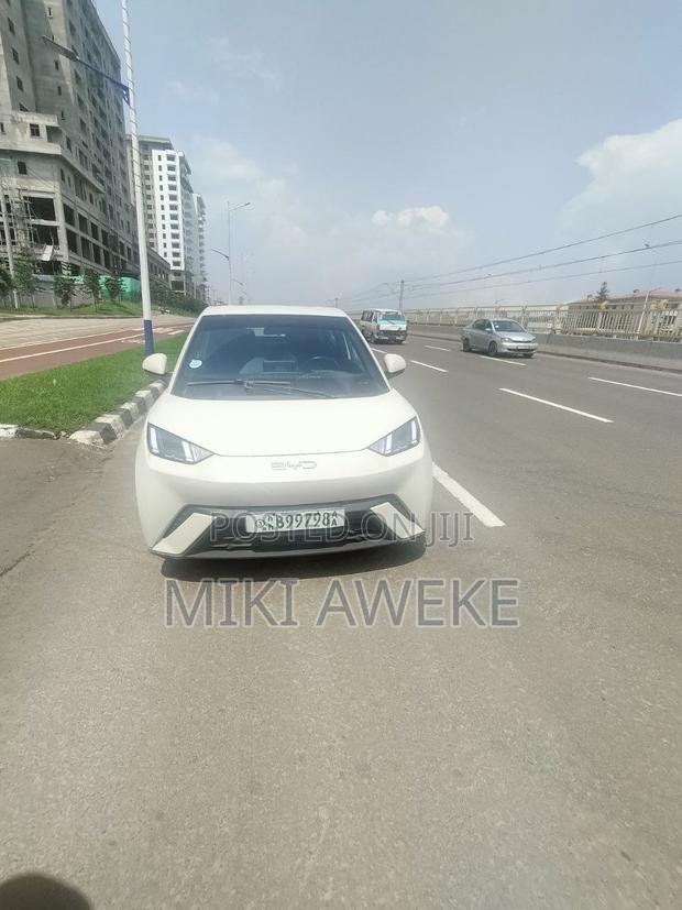 BYD Seagull 2025 White