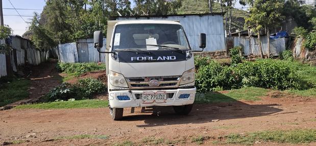 Dongfeng Fengxing Joyear 2021 White