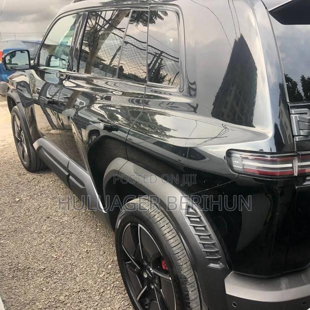 New BYD Leopard 3 2025 Black