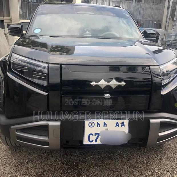 New BYD Leopard 3 2025 Black