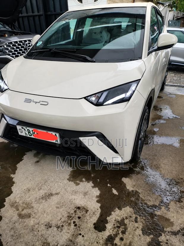BYD Seagull 2023 Off white