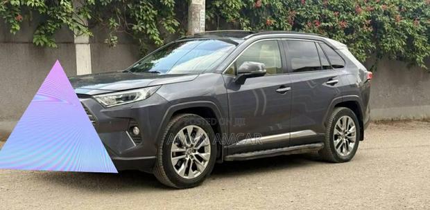 Toyota RAV4 2021 Gray