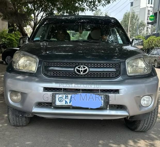 Toyota RAV4 2006 Gray
