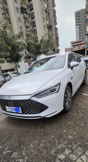 BYD Qin Plus DM-i 2025 White for sale