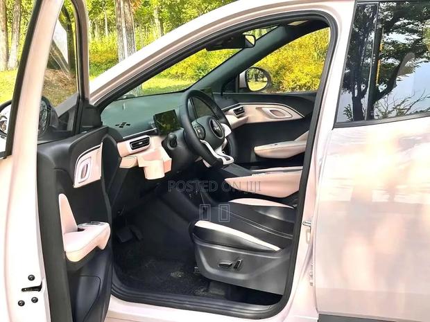 BYD Seagull 2025 Pink